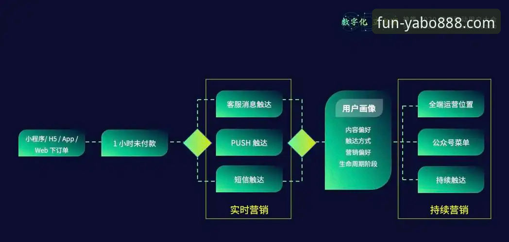 YABO888互动体验实用指南：从下载到实战的全流程解析